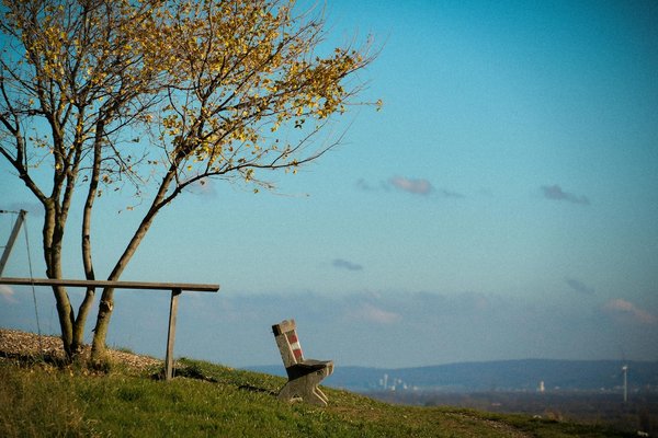 L'épilation laser du visage : méthode, efficacité et précautions à connaître