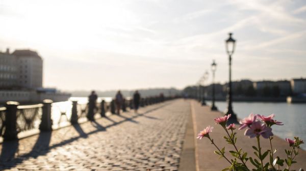 5 raisons pour lesquelles la thérapie à Bordeaux transforme tout