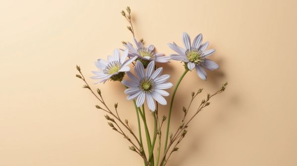 Fleur de cbd pas cher : bénéficiez des meilleures offres sur des produits de qualité