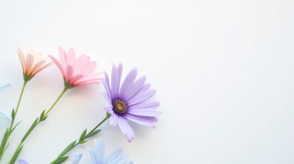 Fleur de cbd pas cher : bénéficiez des meilleures offres sur des produits de qualité